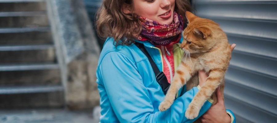 Tourist woman playing with red homeless cat Portrait of beautiful woman that paying with red homeless cat. Love and fun emotion for pets